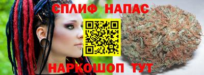 бошки Кинель