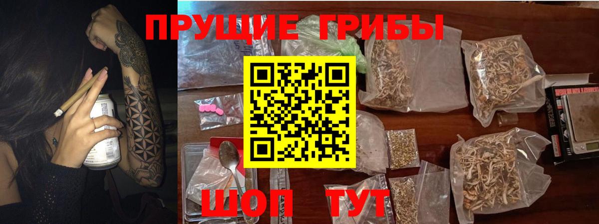 цены наркотик  Псилоцибиновые грибы прущие грибы  Вход с VPN  Кудрово 