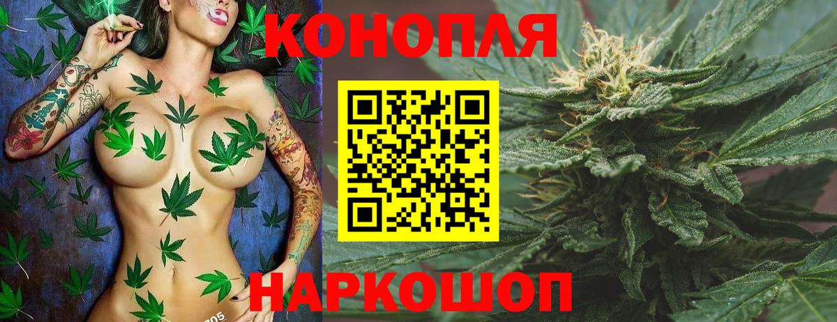 Конопля конопля  МАРИХУАНА конопля  Бошки Шишки план  Каннабис OG Kush  Вход с VPN  Кудрово 